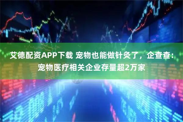 艾德配资APP下载 宠物也能做针灸了，企查查：宠物医疗相关企业存量超2万家