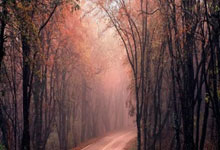 能买股票app:股票选股app软件十大排名-纪念中国人民抗日战争暨世界反法西斯战争胜利80周年大会